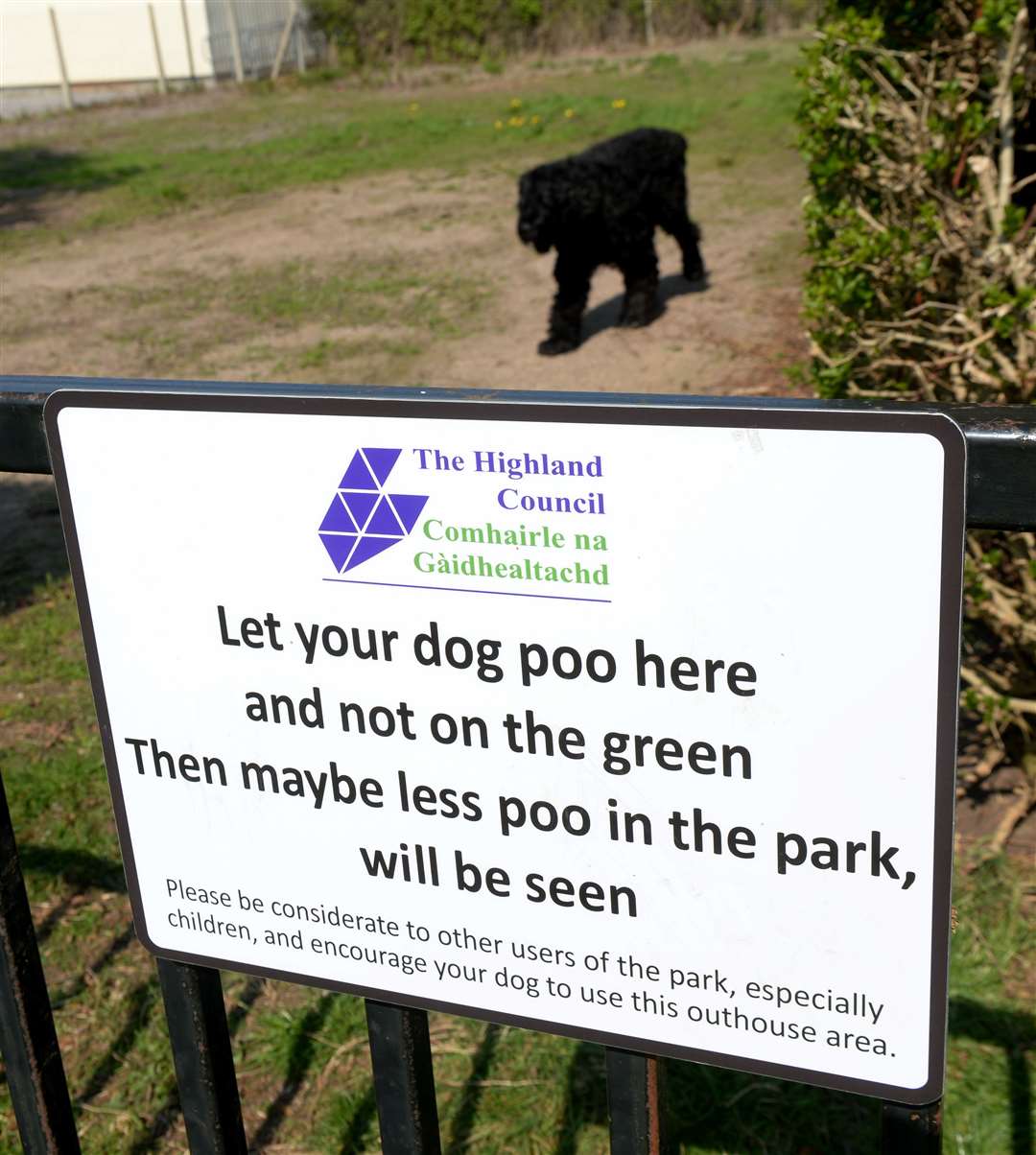 There is an area at Fraser Park specifically for dogs to use to help keep poo of the pitches.