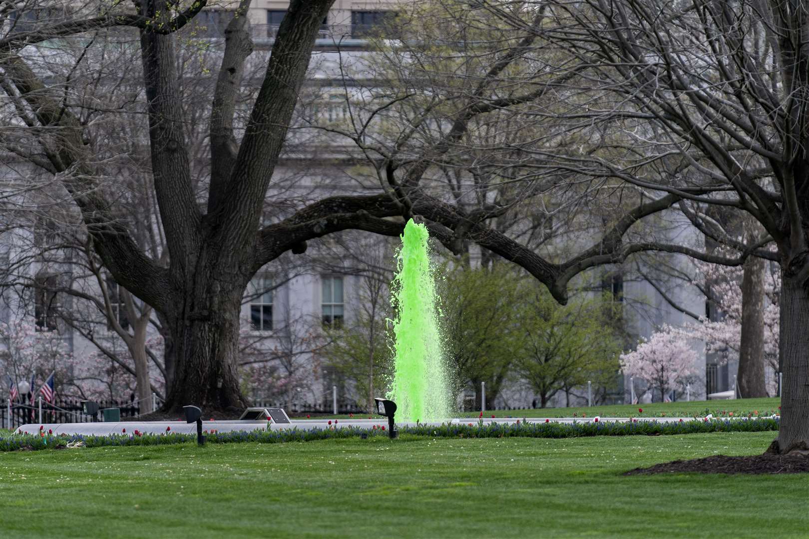 And on the landmark property’s North Lawn, the fountain was dyed green in honour of St Patrick’s Day (Stephanie Scarbrough/AP)