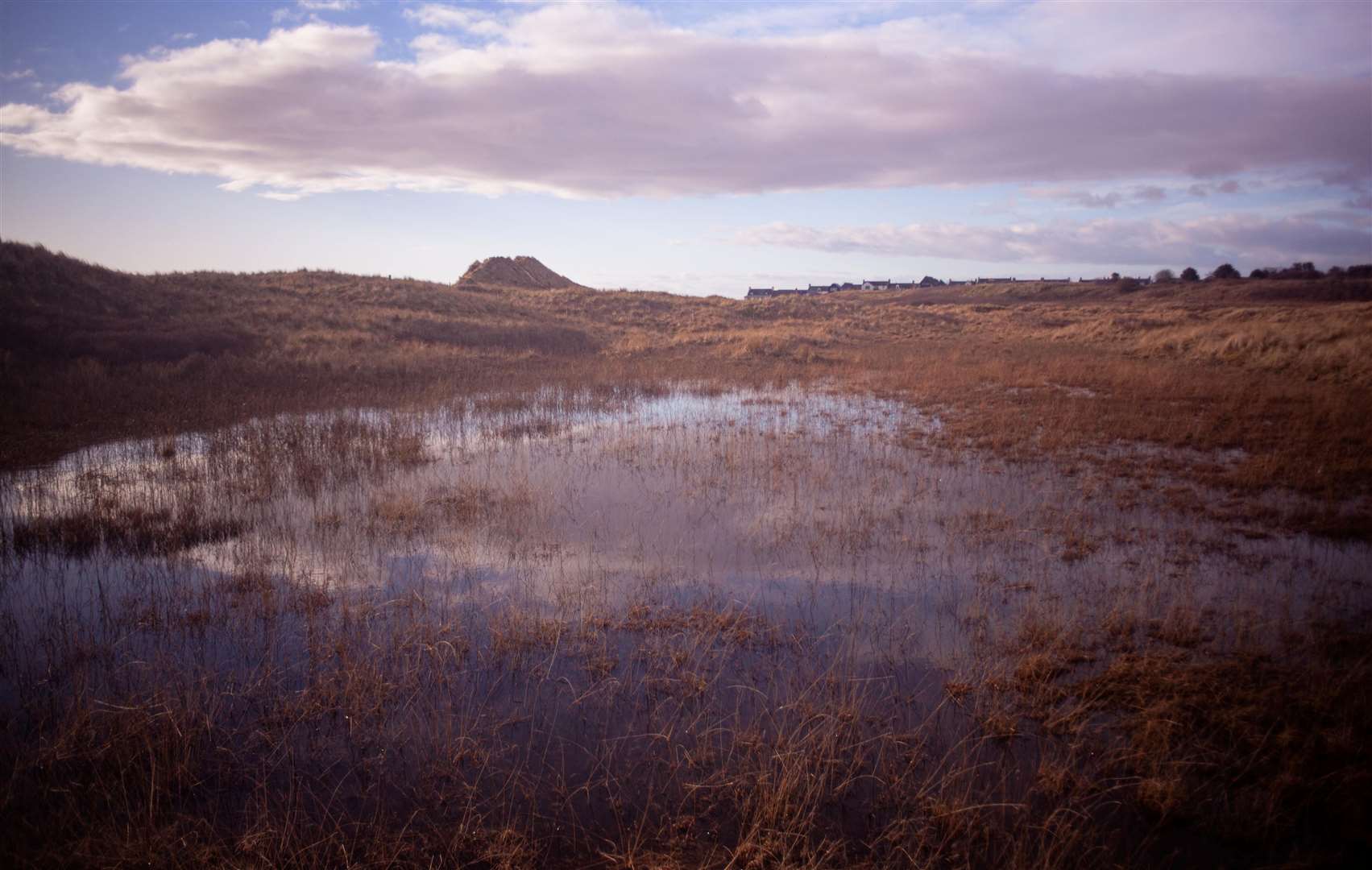 Coul links is a protected site because of its unique variety of habitats, its winter wetlands and the birdlife. Picture: Not Coul