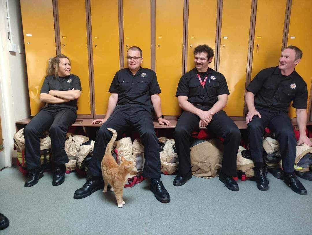 Genghis visiting Ullapool Fire Station. Photo: Carol Wink.