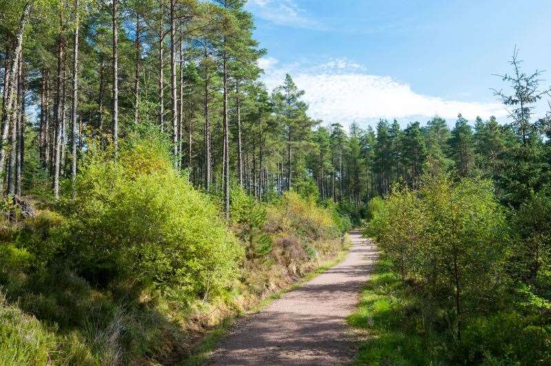 Aldie Burn, North Highland District, Forestry Commission, Scotland