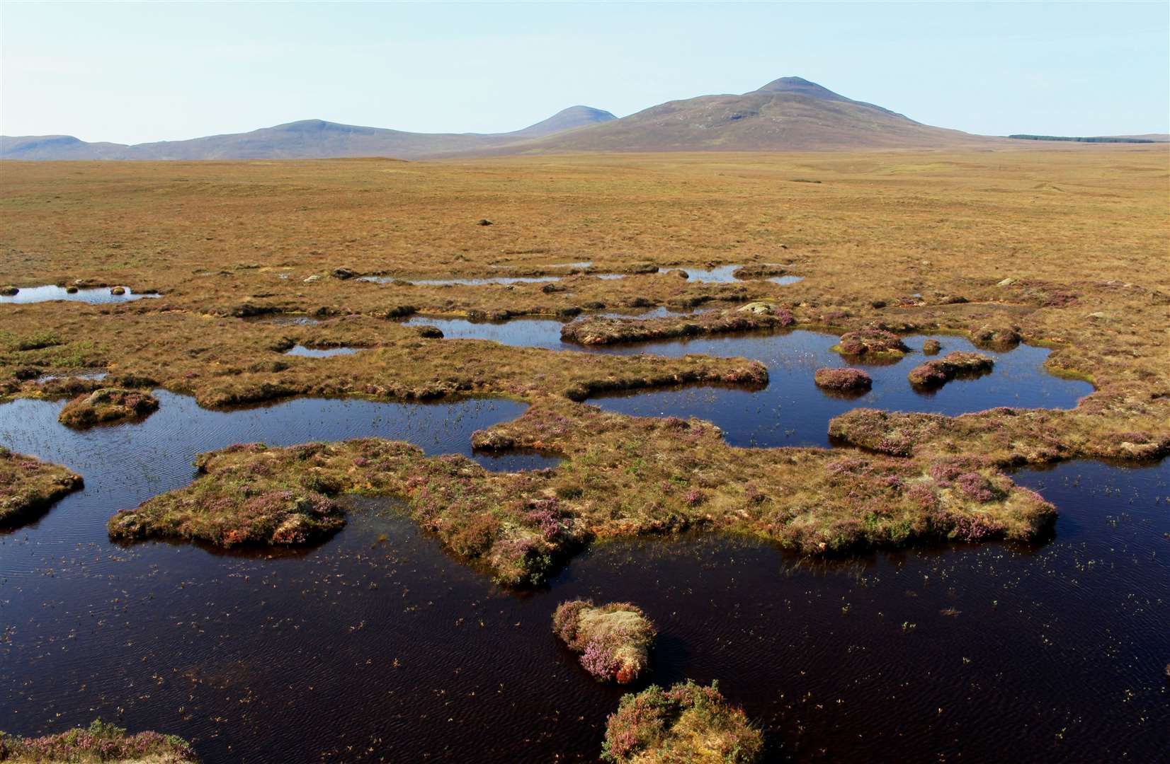 Incentives are already in place for peat landscapes like the Flow Country but some groups want more protection for Scotland's landscapes.