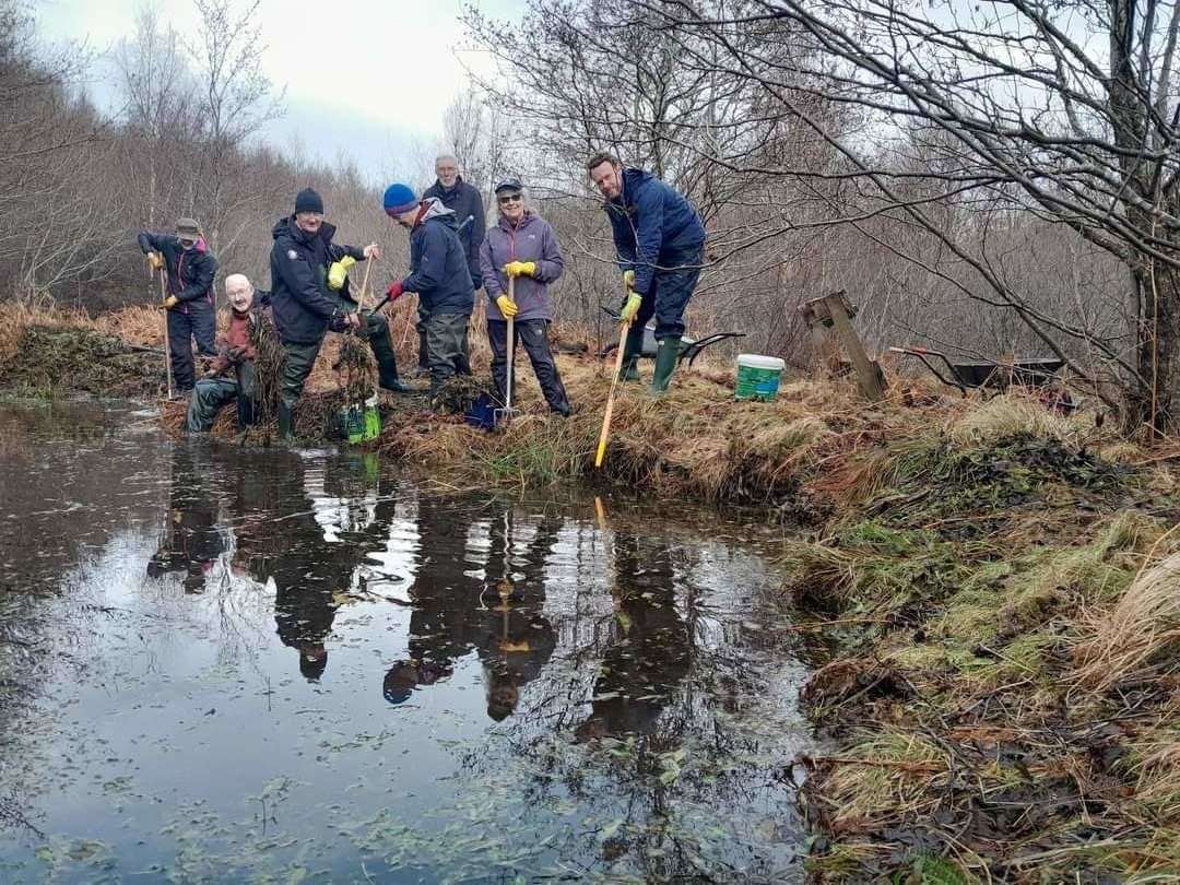 High life Highland countryside ranger Paul Castle and members of North Sutherland Wildlife Group rake weeds out of a pond at Borgie Breco Forest.