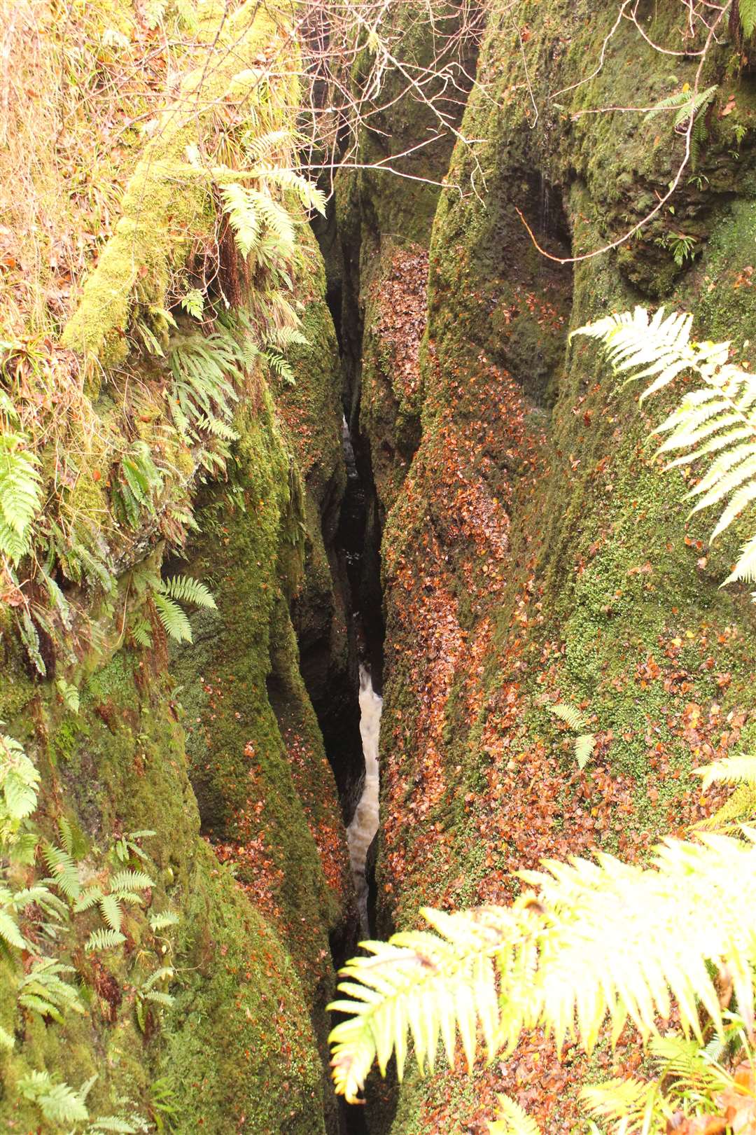 Into the chasm – the view down to the gorge from the bridge.