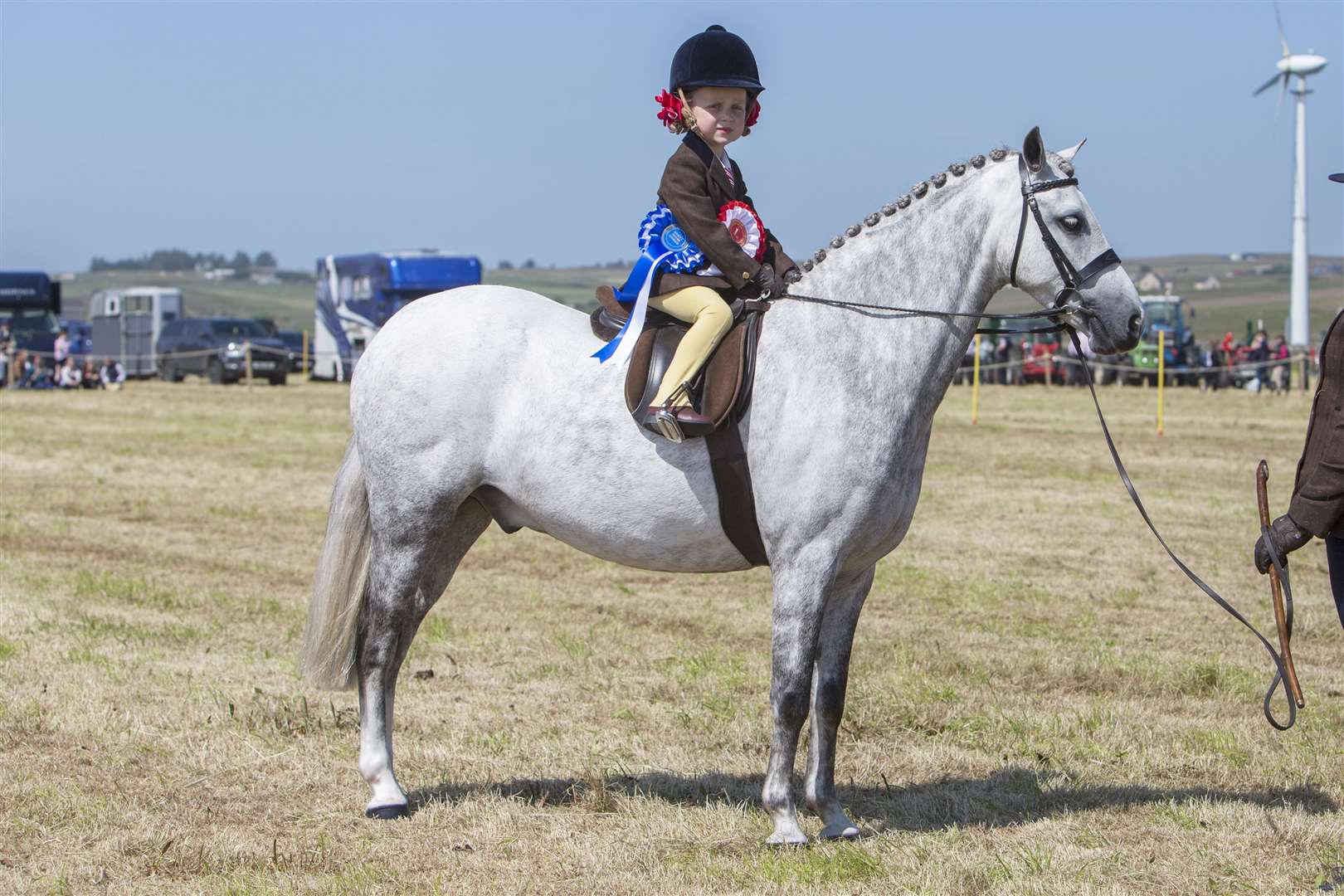 Five-year-old Zara Manson, of Sinclair Street, Halkirk, won the reserve supreme horse championship with the ridden pony champion, Rushfield White Knight, a six-year-old part-bred Dartmoor gelding. Picture: Robert MacDonald / Northern Studios