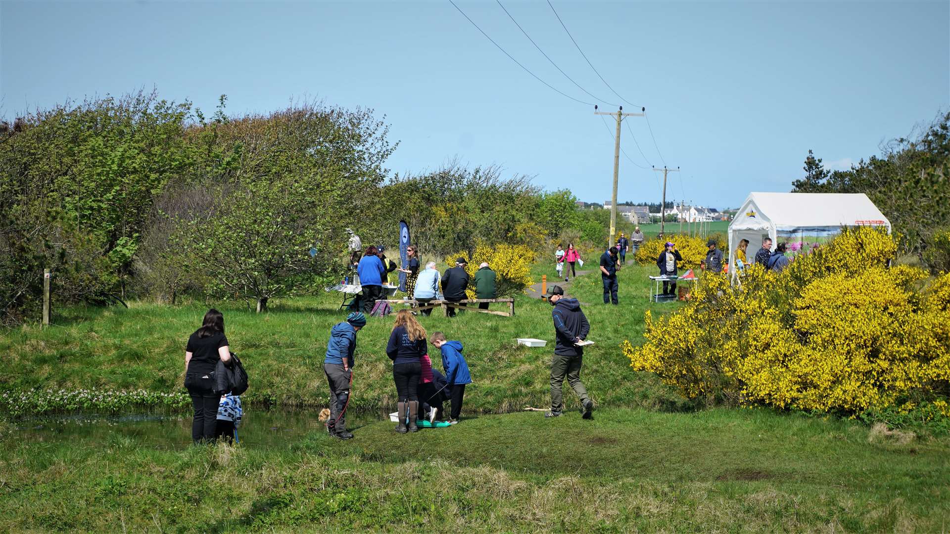 Some of the many visitors who turned up for the Species on the Edge project launch at Dunnet Community Forest in May. Picture: DGS