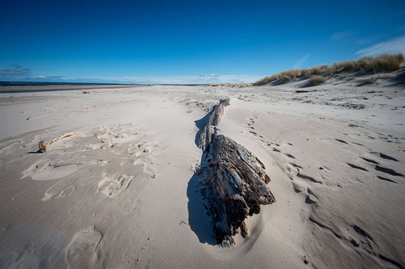 The dunes at Nairn Beach. Picture by: Callum Mackay.