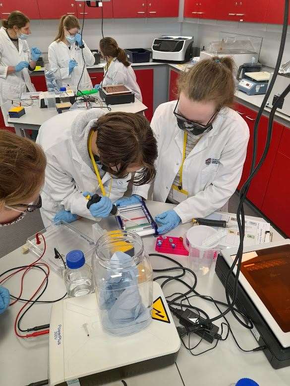 Hazel Lyon and Hannah Graham loading DNA samples into agarose gel wells using micropipettes.
