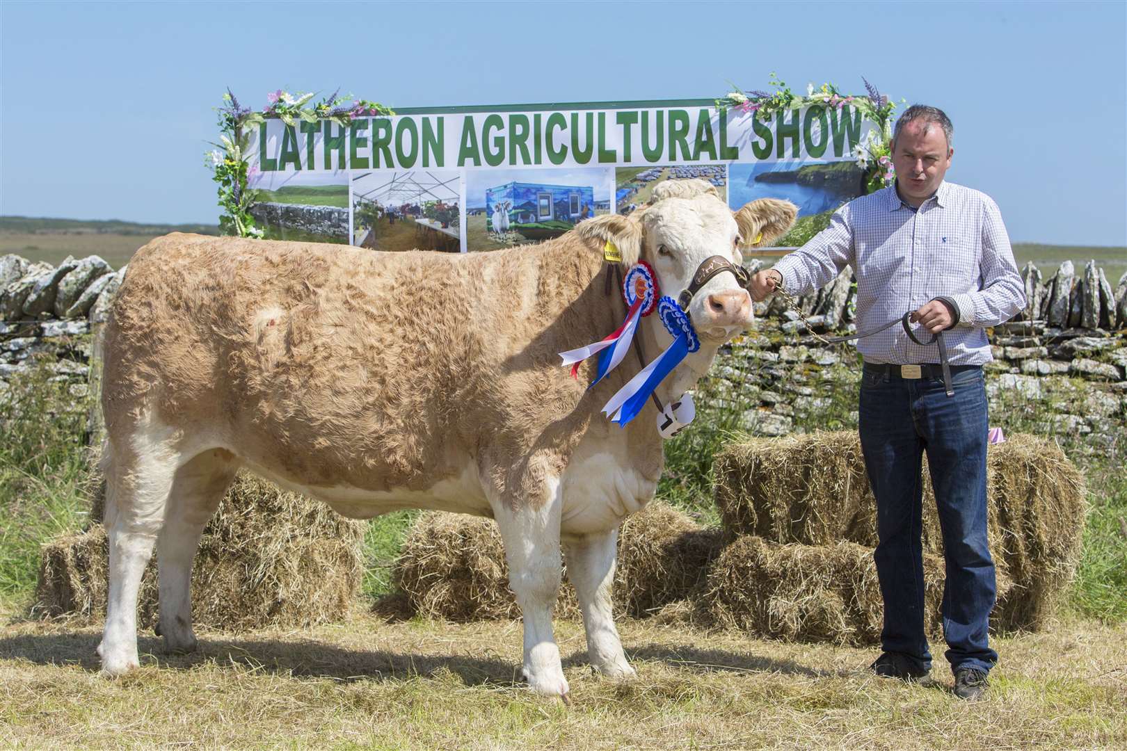 Jonathan Gunn, Mavsey, Lybster, with his reserve supreme cattle champion and continental champion, Mavsey Moonshine, a Simmental heifer. Picture: Robert MacDonald / Northern Studios