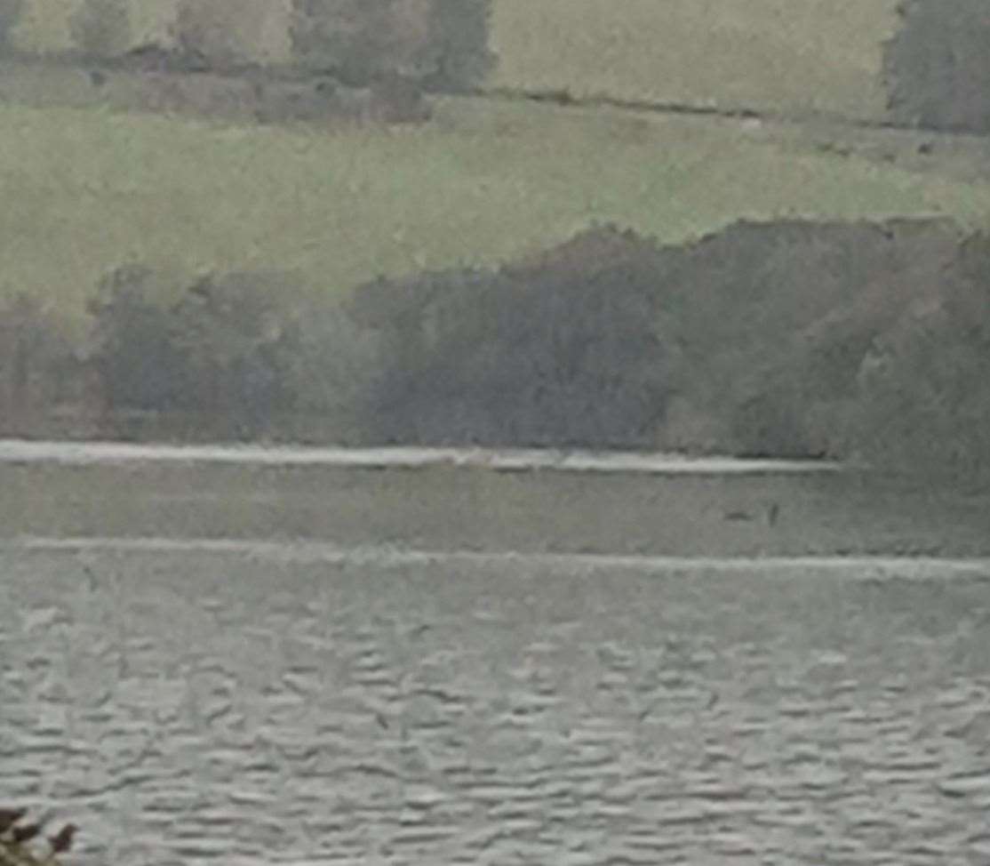 The picture was captured on October 8 at around 5pm, when John Howie spotted something moving in the loch. Picture: John Howie.
