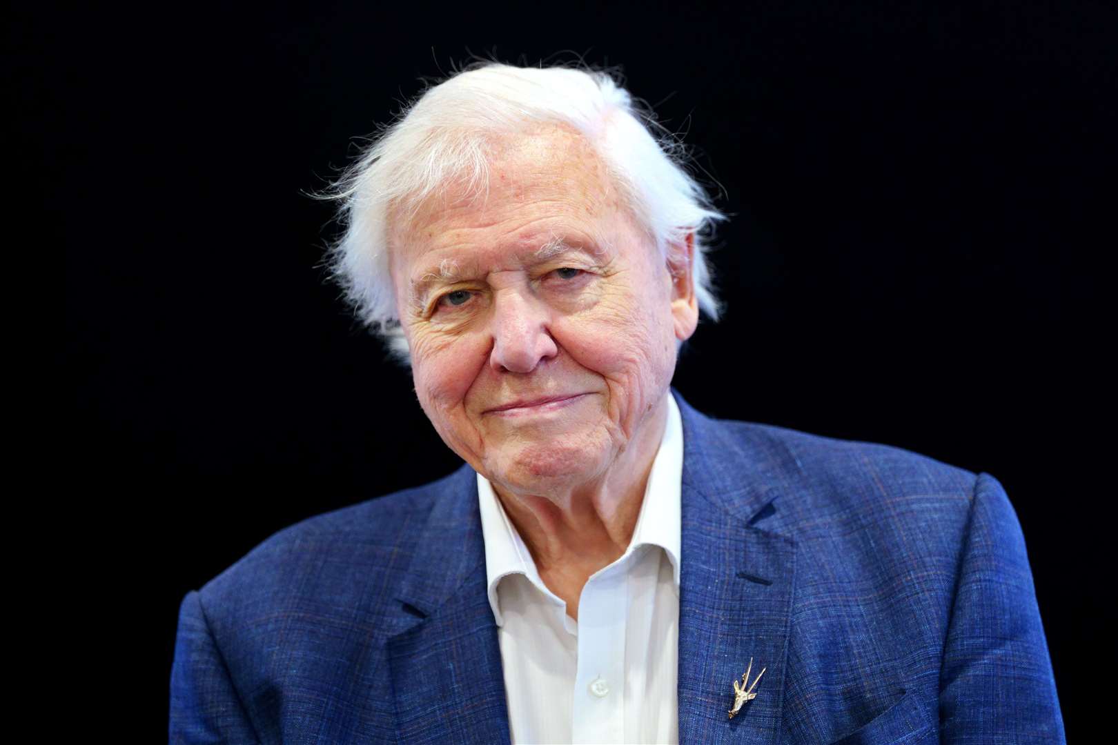 Sir David Attenborough received mentions on the BPG list for Life On Earth and Planet Earth (Victoria Jones/PA)