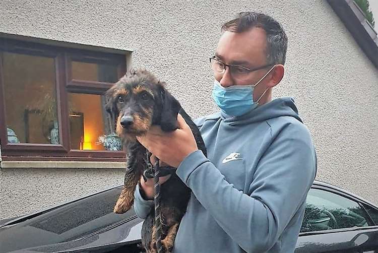 Arwel is reunited with wirehaired dachshund Llew after he went missing for a full week.