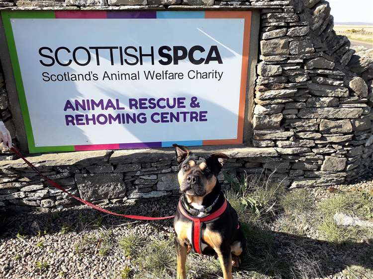 500 to Caithness and Sutherland SSPCA