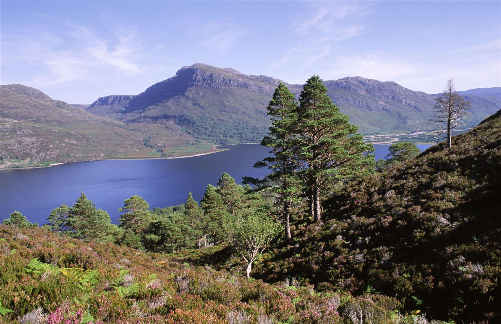 Loch Maree is part of the glorious Beinn Eighe NNR. Picture: Lorne Gill/SNH