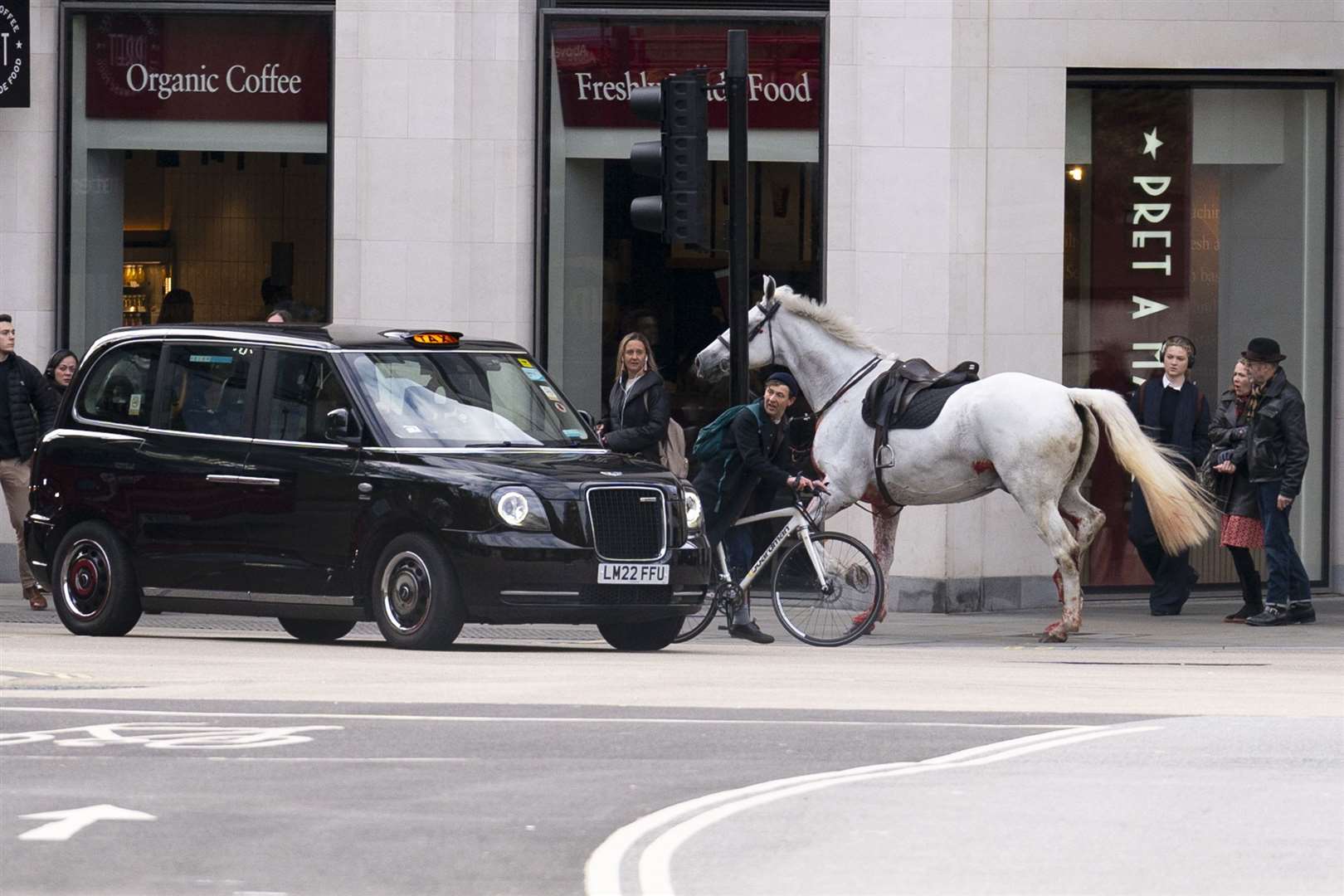 The white horse appeared to have been injured, with blood visible on its body and legs (Jordan Pettit/PA)