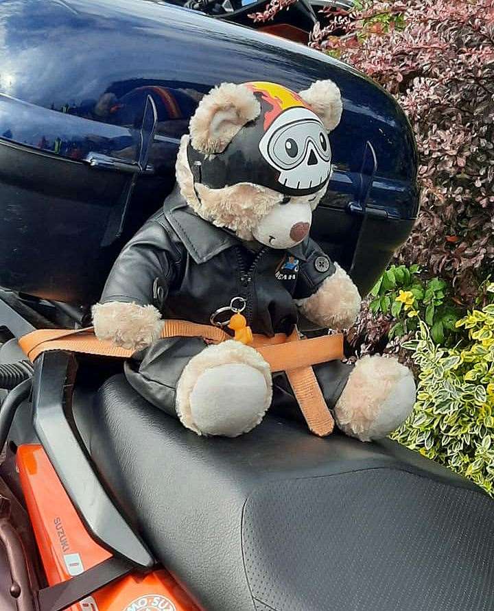 Jeffrey DaBear is being taken around the country on a biker relay. Picture: Kevin Close