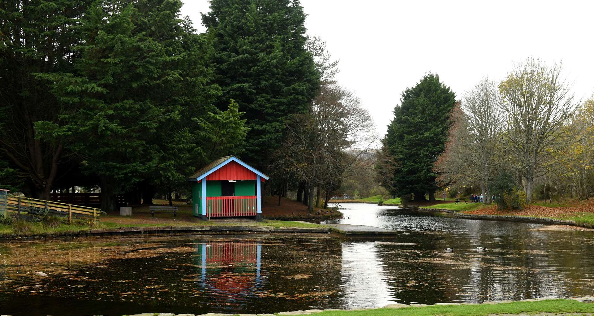 Pond in Whin Park before draining begins. Picture: James Mackenzie.