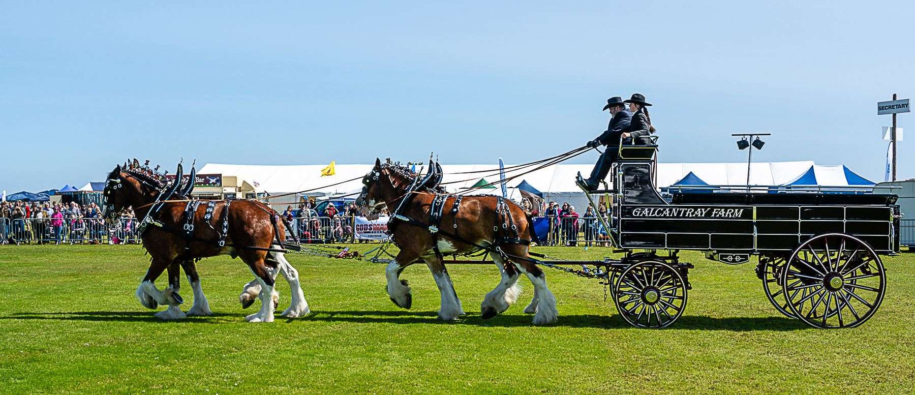 Display by Galcantray Clydesdales. Photo: East Sutherland Camera Club