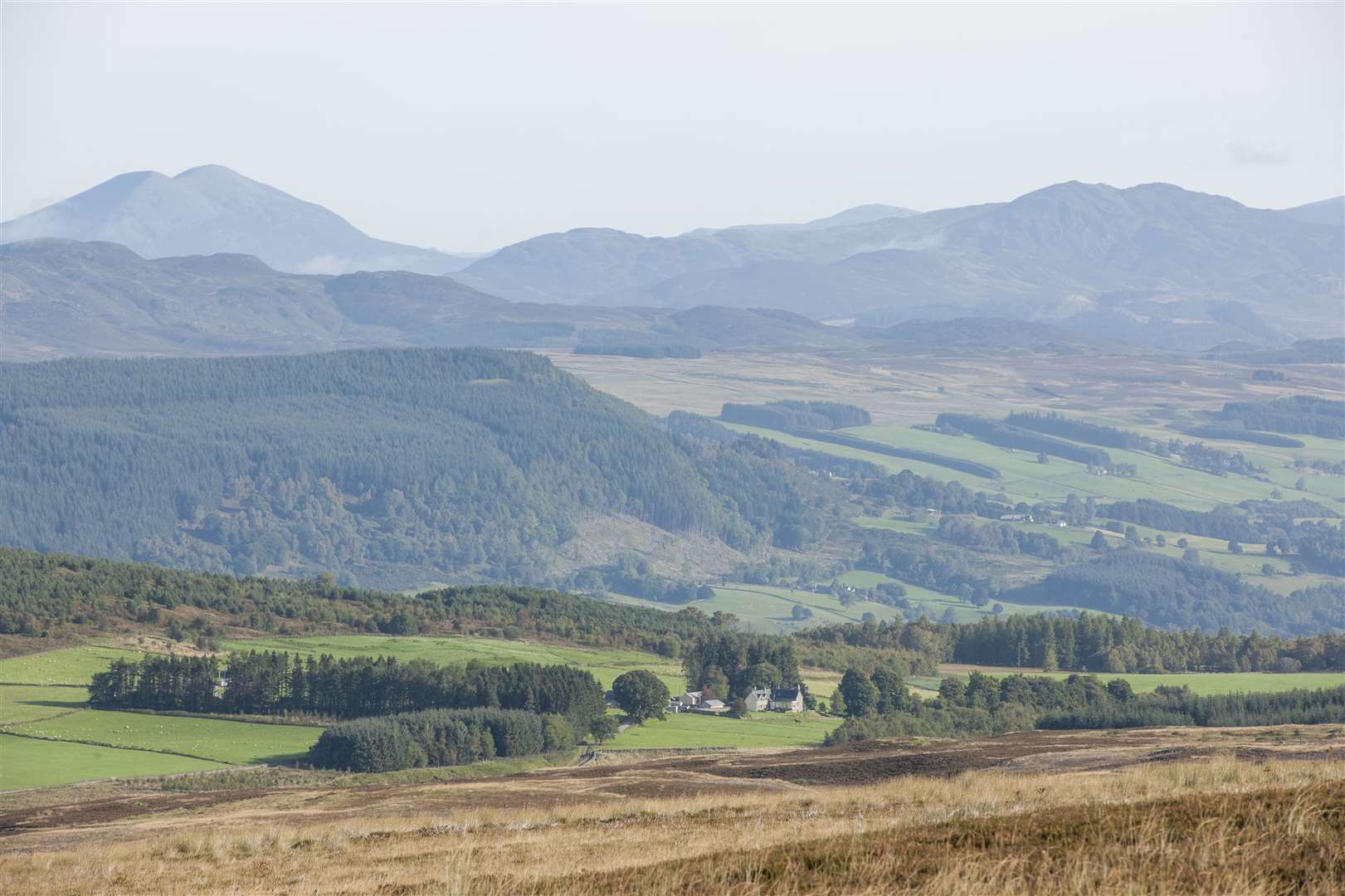 Scotland's rural estates are increasingly in demand for their green credentials.