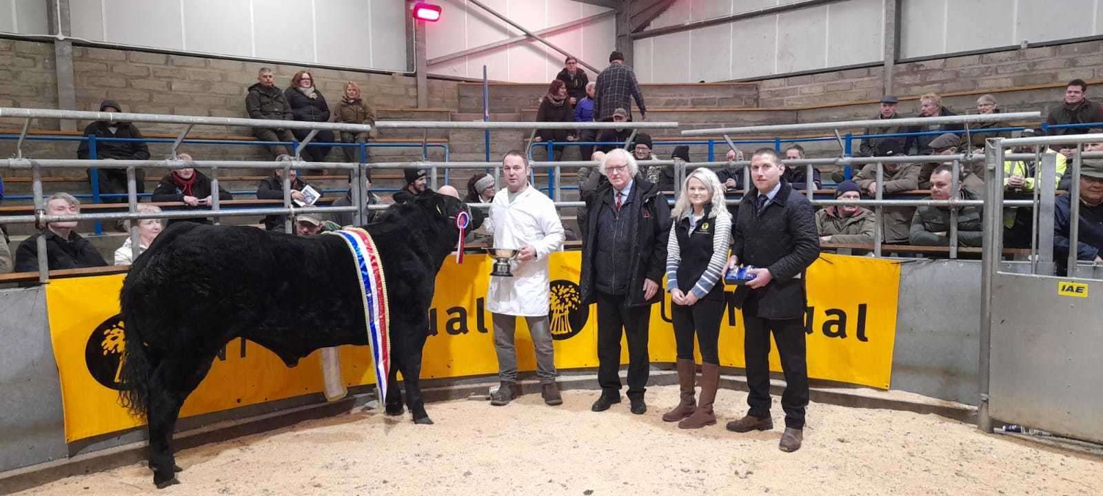 A top price of £3000 was achieved in the prime cattle section at the 2022 show for a Limousin Bullock from G W Begg, scalling 635kg, selling to Mackay’s Hotel, Wick.