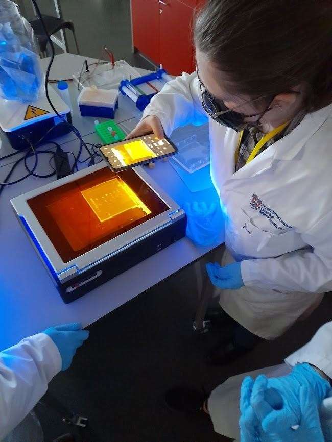 Nerri Powell taking an image of her DNA gel electrophoresis results.