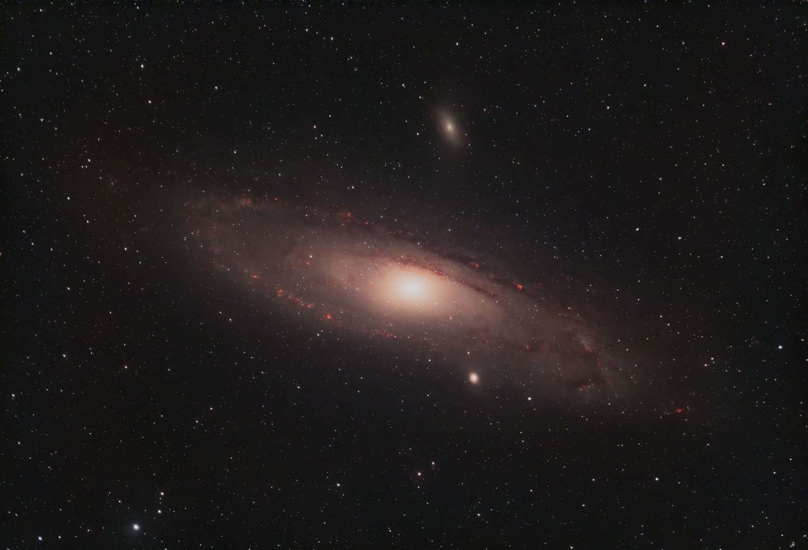 Moving on from our own galaxy is the Andromeda Galaxy (M31) which can found in the constellation of Andromeda and is 2.5 million light years from earth.The bright red/pink areas in the arms of the galaxy are regions where star formation is taking place. Andromeda is larger than our galaxy and is on a collision course and will ultimately merge with the Milky Way Galaxy in about four to five billion years.