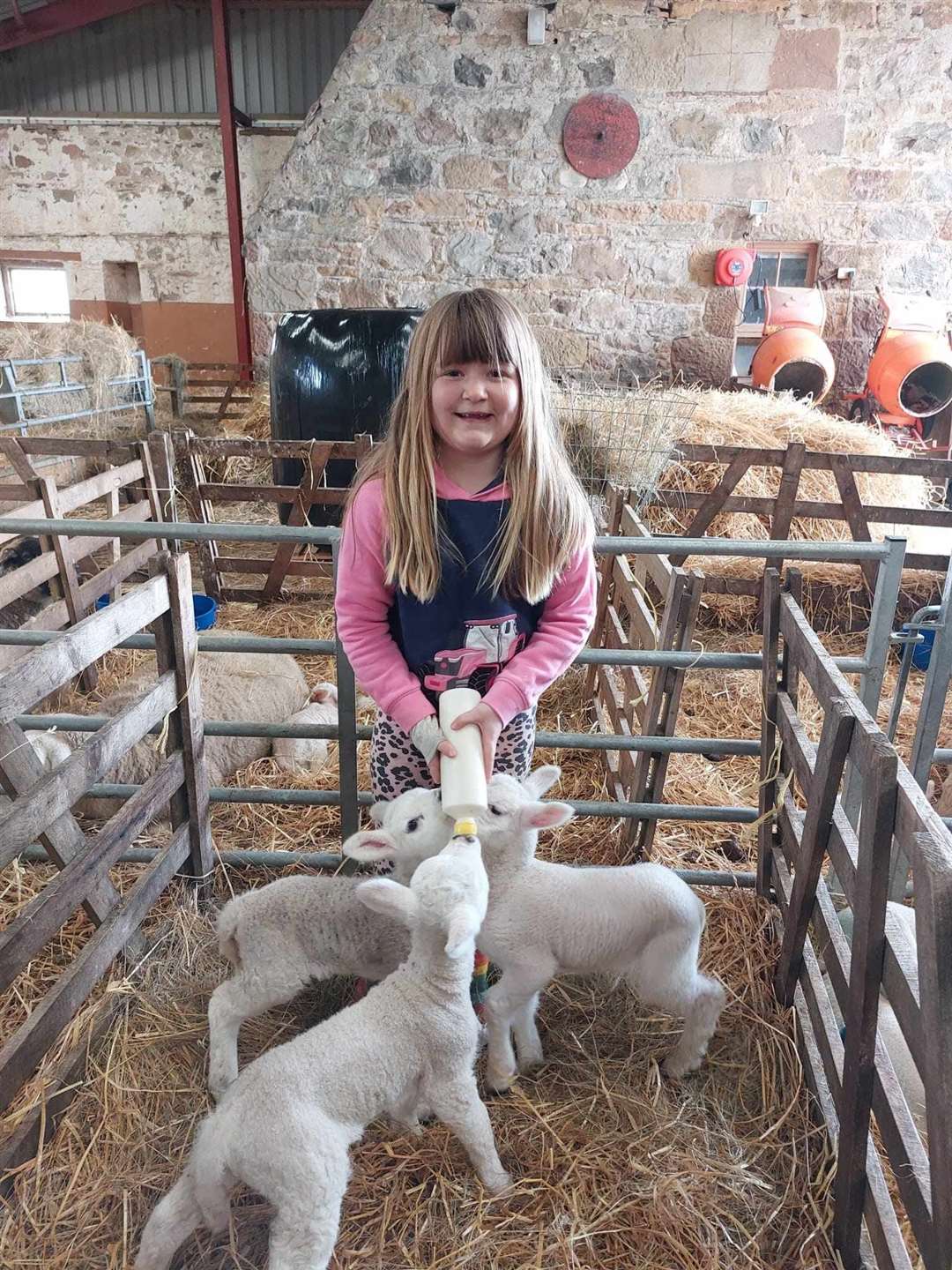 Young Evalyn Smith bottle feeds lambs in the Davochfin Farm lambing shed.