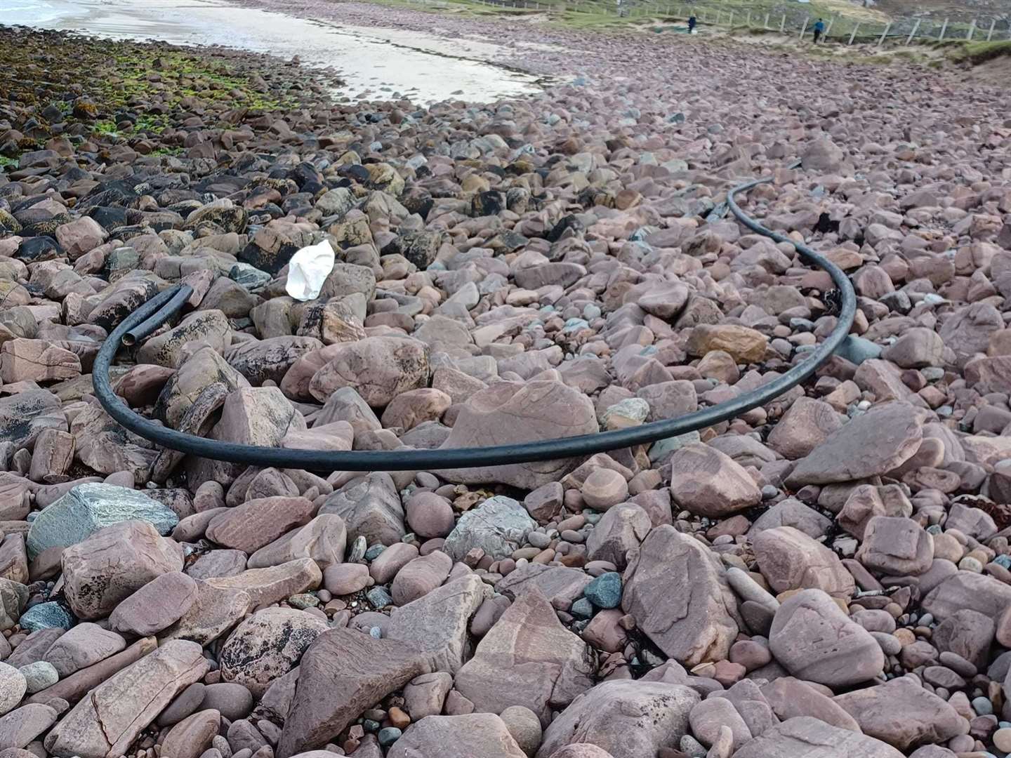 A fish farm feed pipe lying on the shore.