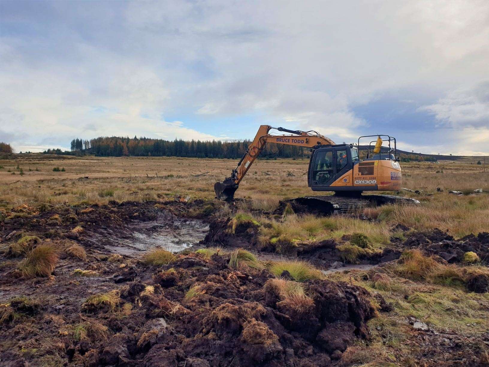 More than 10,000 hectares of peatland has now been 're-wetted' on FLS land. Picture: FLS