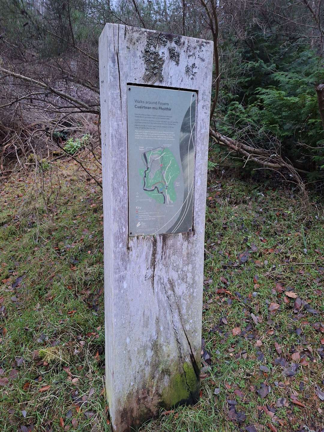 Map panel at the entrance to the woods at Foyers.
