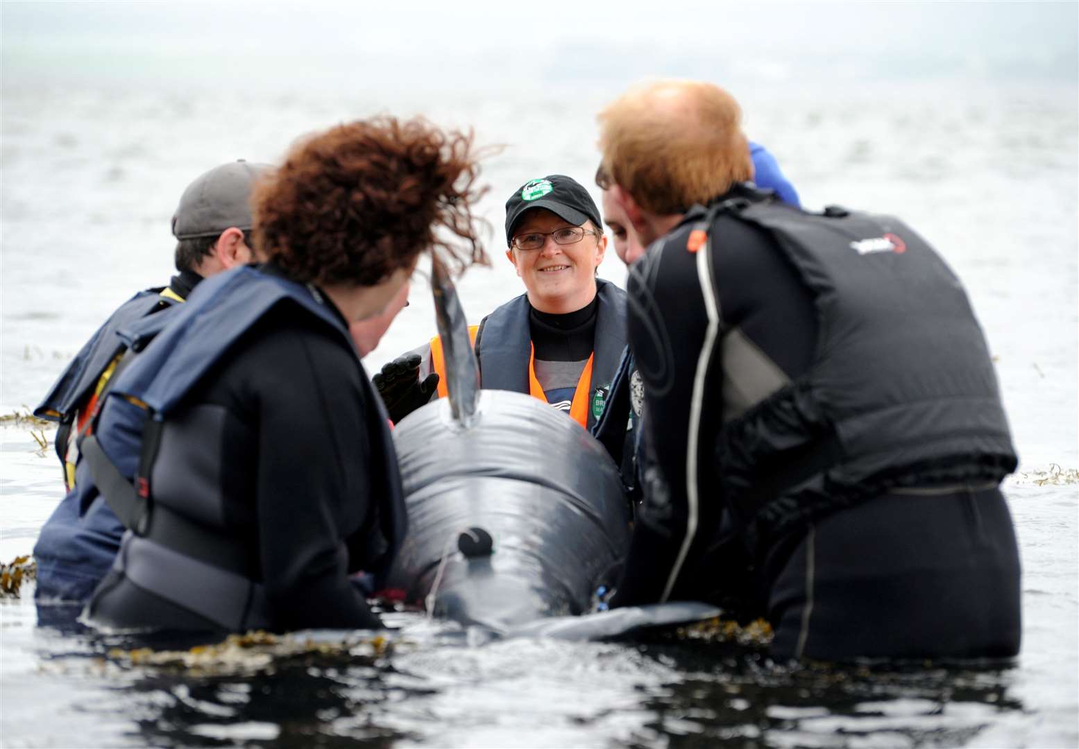 BDMLR instructor Cath Bain (centre) guides volunteers on a Marine Mammal Medic course with a dolphin rescue .Picture: Gary Anthony..