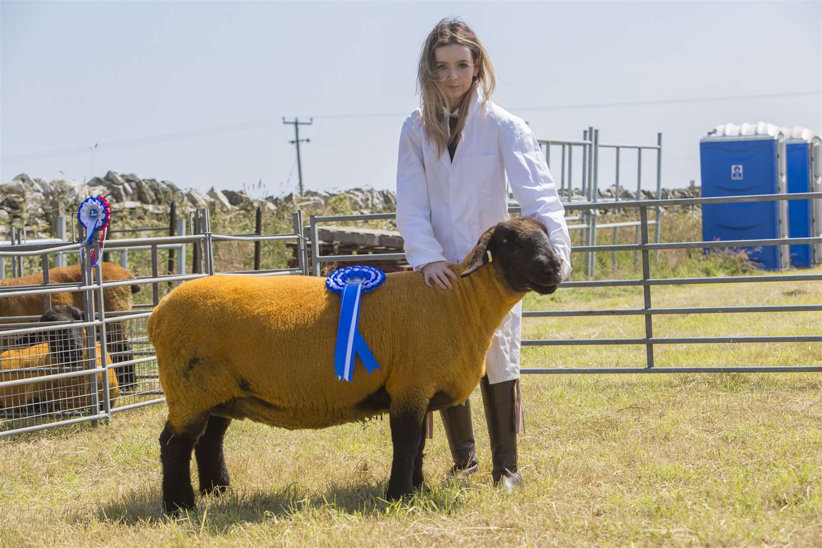 Katie Gunn, Scotscalder, took the reserve sheep supreme and the Suffolk championship for the second successive year. This year her champion was a four-crop ewe by Castleisle Spotlight. Picture: Robert MacDonald / Northern Studios