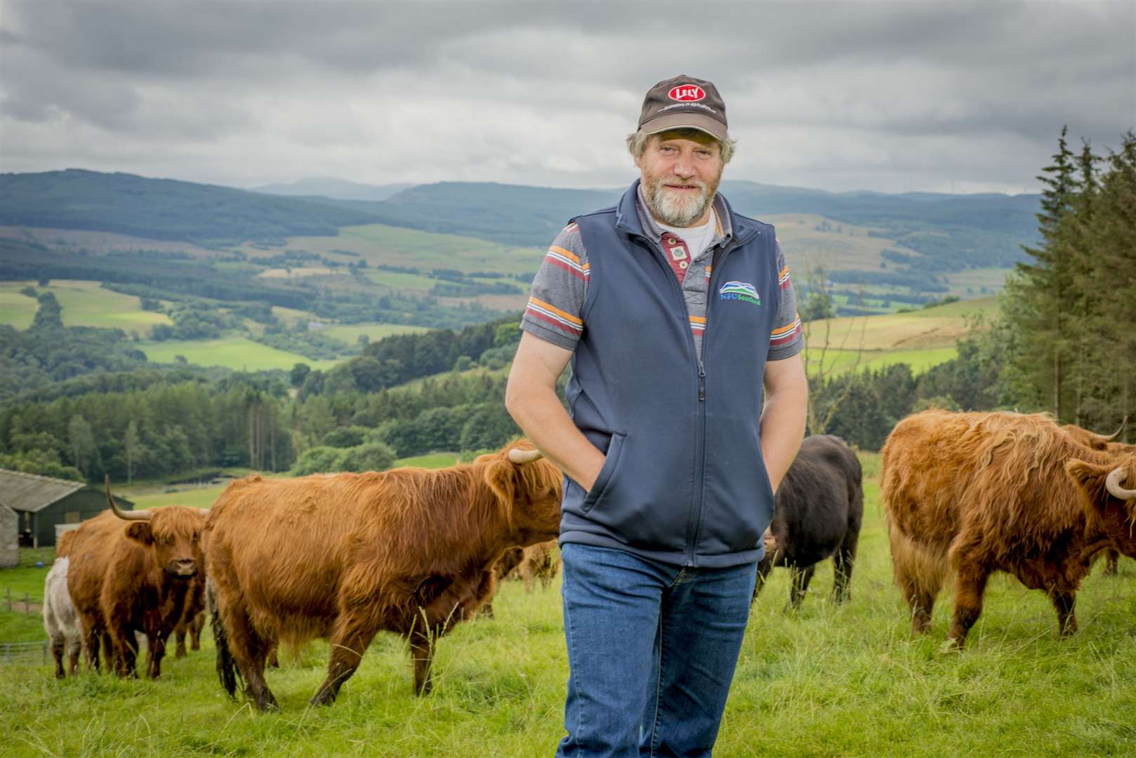 Martin Kennedy: 'Reductions in agricultural production on this scale, if replicated across our whole industry, will have significant ramifications for our food and drink sector and all those businesses upstream and downstream who rely on farmers and crofters.' Picture: Ian R Fleming/NFU Scotland