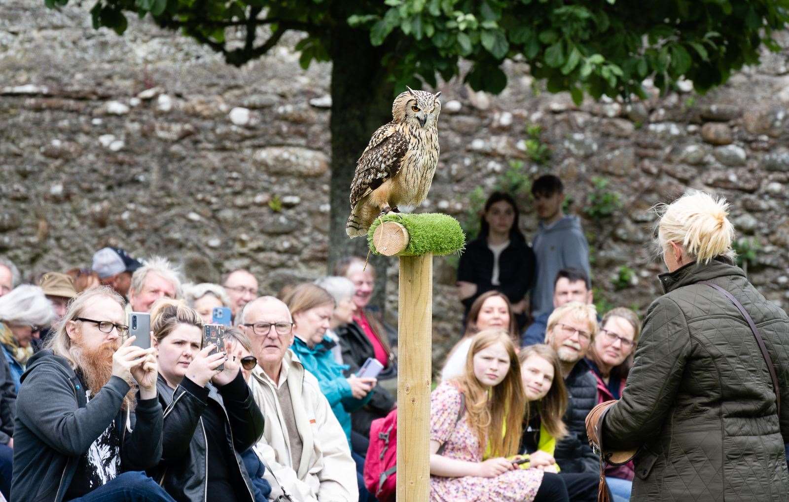 A falconry display had viewers entranced. Picture East Sutherland Camera Club