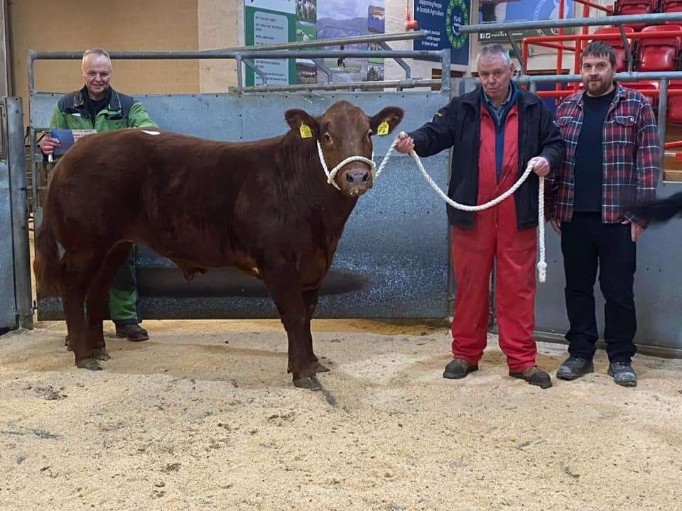There was keen competition and trade at the event. Picture: Dingwall and Highlands Marts