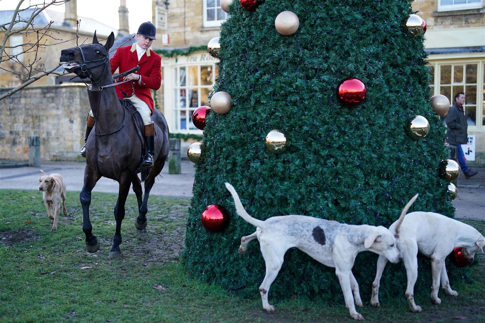 A rider and hounds during the annual North Cotswold Boxing Day hunt in Broadway, Worcestershire (Jacob King/PA)