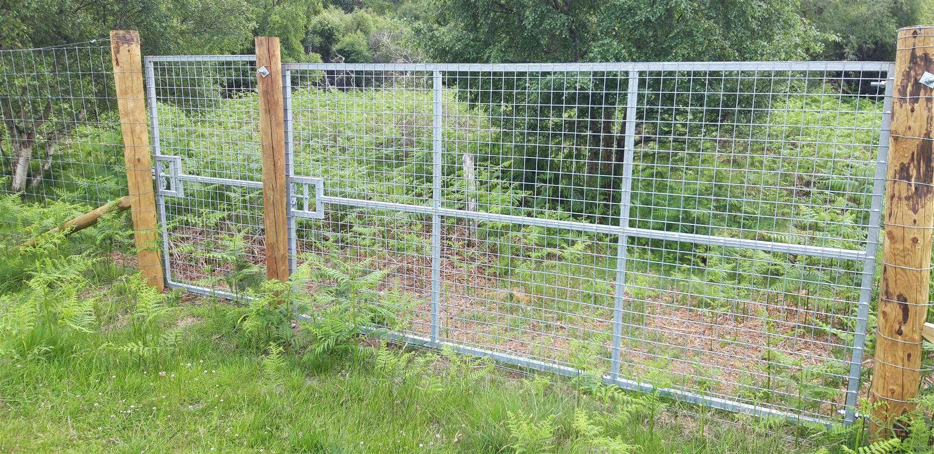 An unlocked metal pedestrian gate (left) has been inserted into the new fence next to a larger, vehicle access gate.