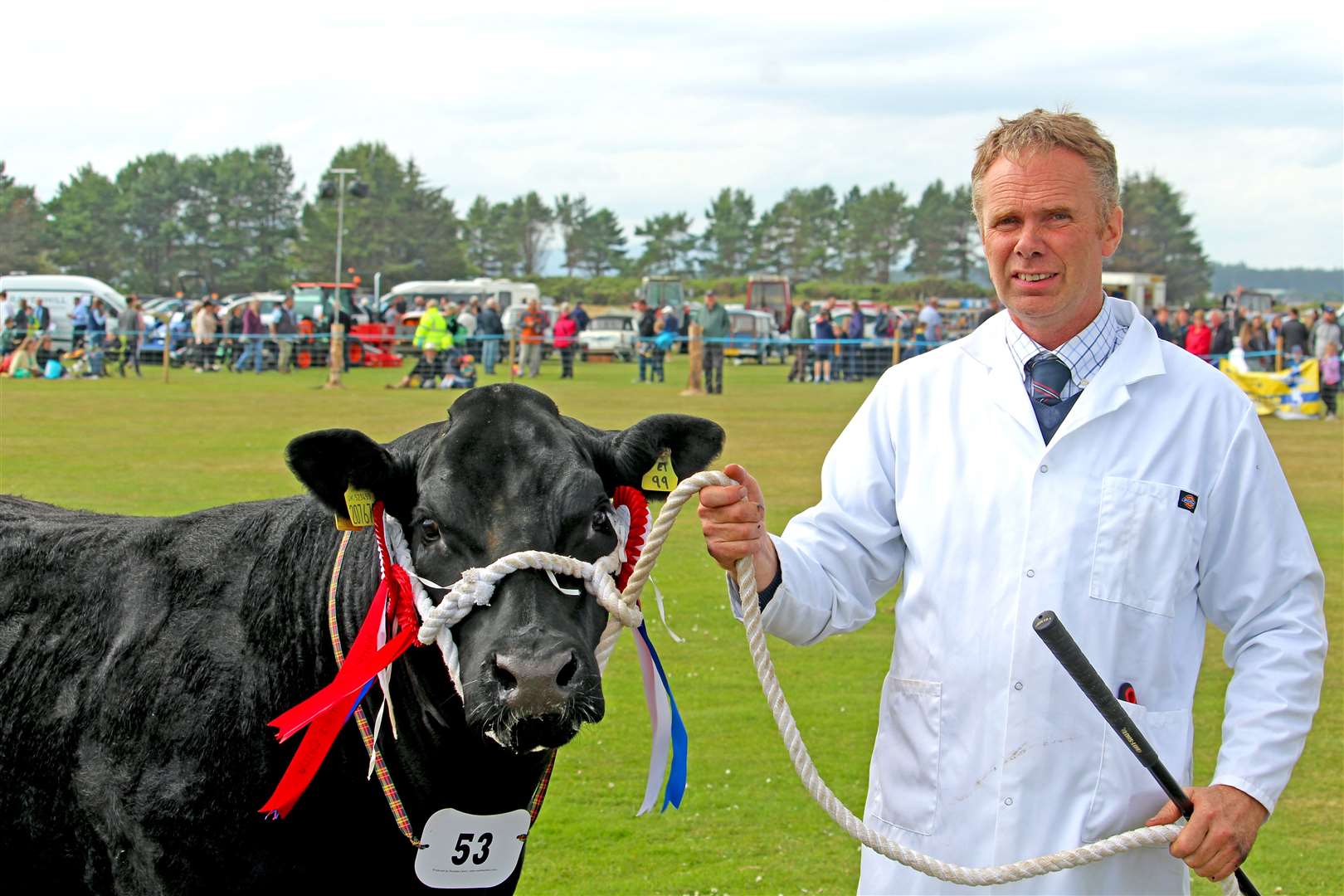 This year's overall Champion of Champions and overall Cattle Champion, exhibited by John Smith, The Rowans, Brora. Photo: Niall Harkiss