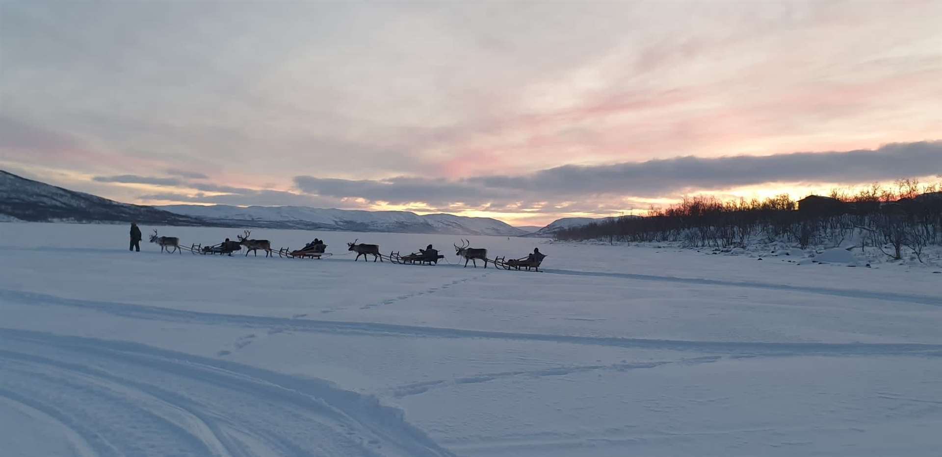 Visitors can take a reindeer trip.