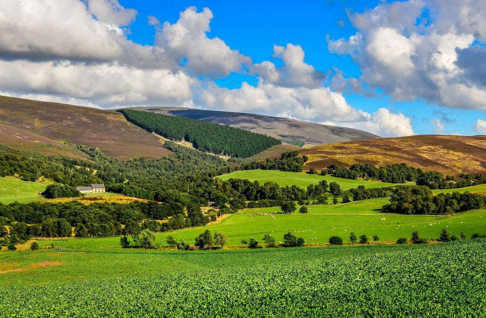 New legislation could change how Scotland's land is owned and managed in the future.