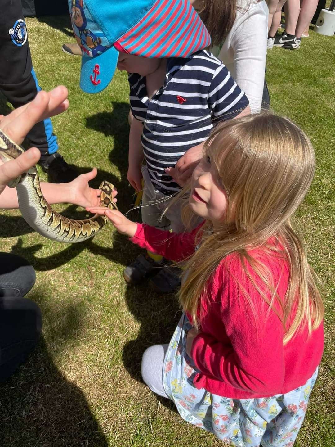 This little lass has no qualms in reaching out to stroke a snake.