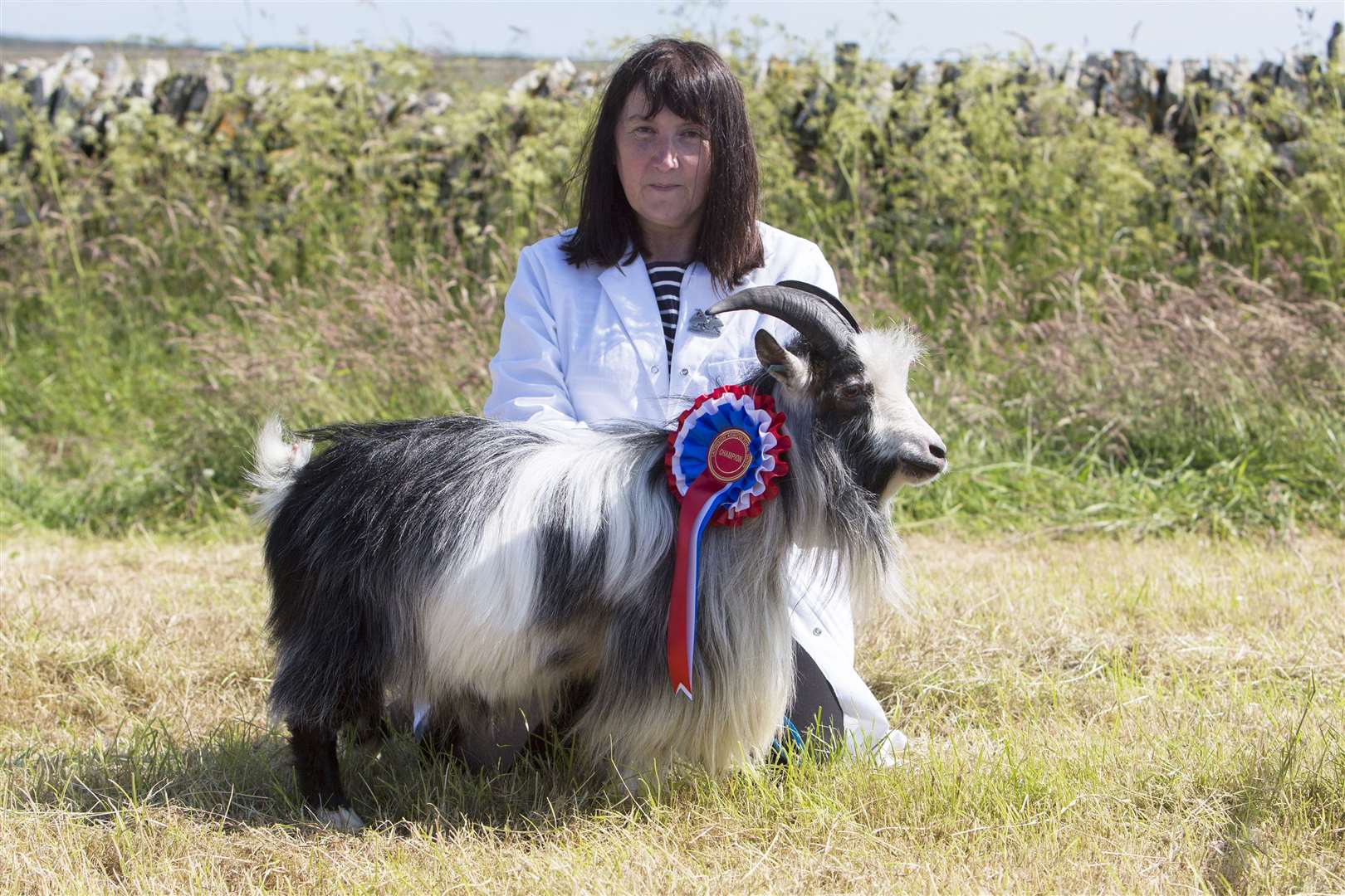 Robbianne Harrold, Roadside, Reiss, won the goat championship with her five-year-old pygmy billy goat, Moorview Snapdragon, which she bought as a kid. Picture: Robert MacDonald / Northern Studios