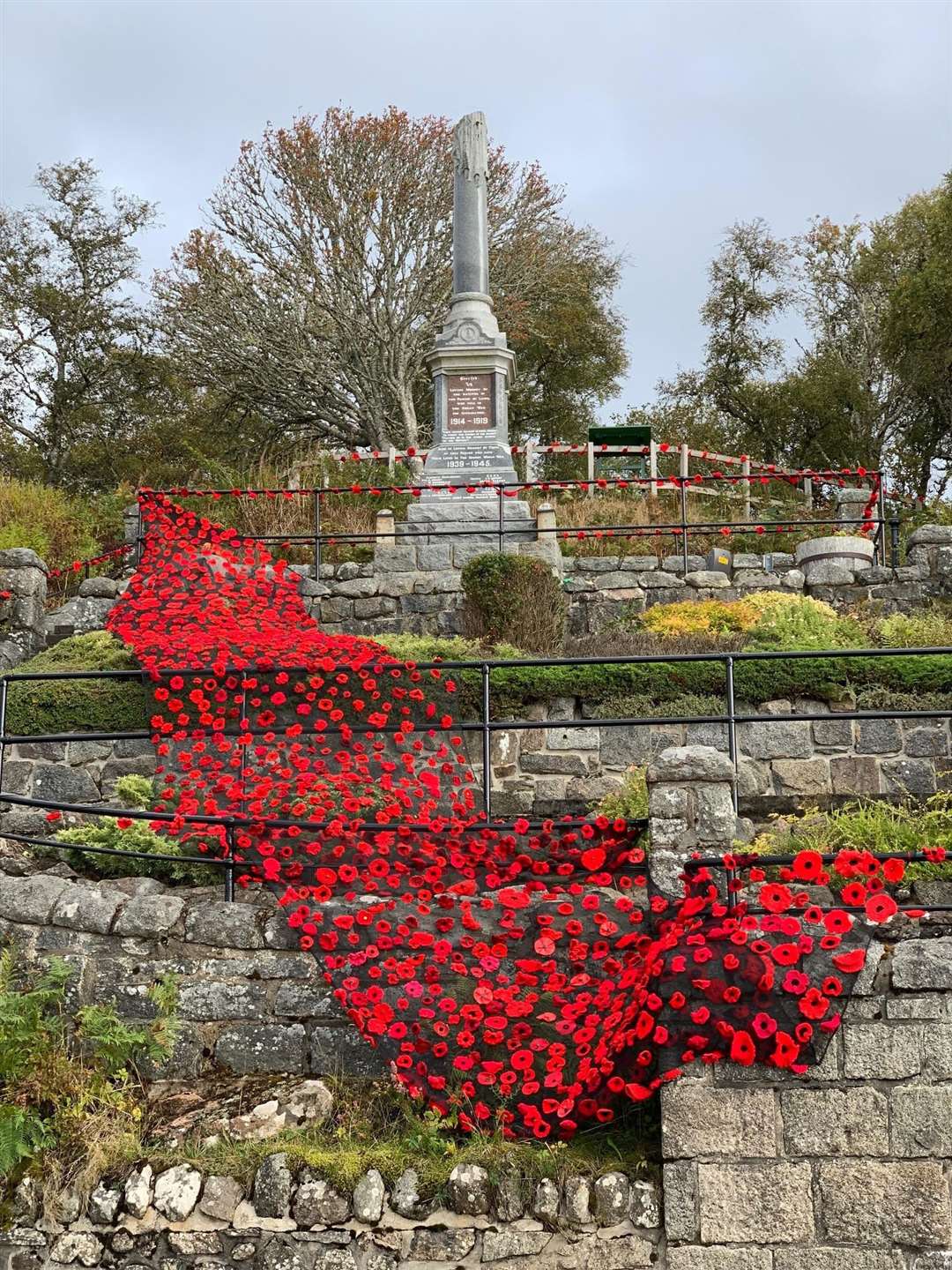The cascade of poppies made a stunning display. Picture: Tracie Drummond