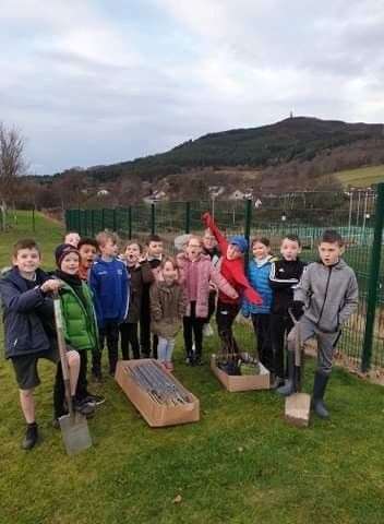 Pupils from p4-5 plant saplings along the fenceline of the school grounds.