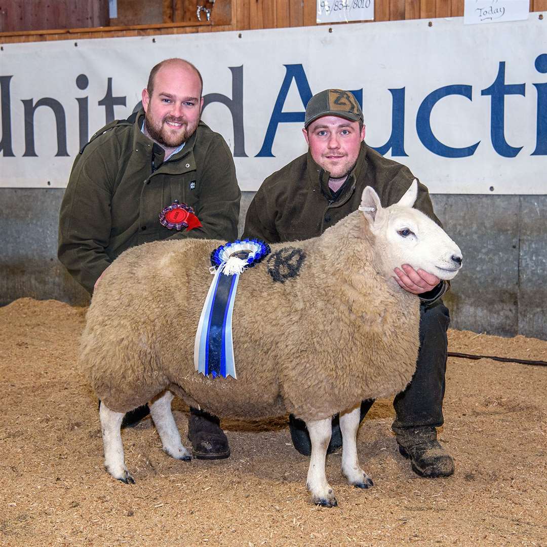 The reserve champion title went to trimmed gimmer, from Michael Kirk (right), Hollandmake. Picture: Angus Mackay