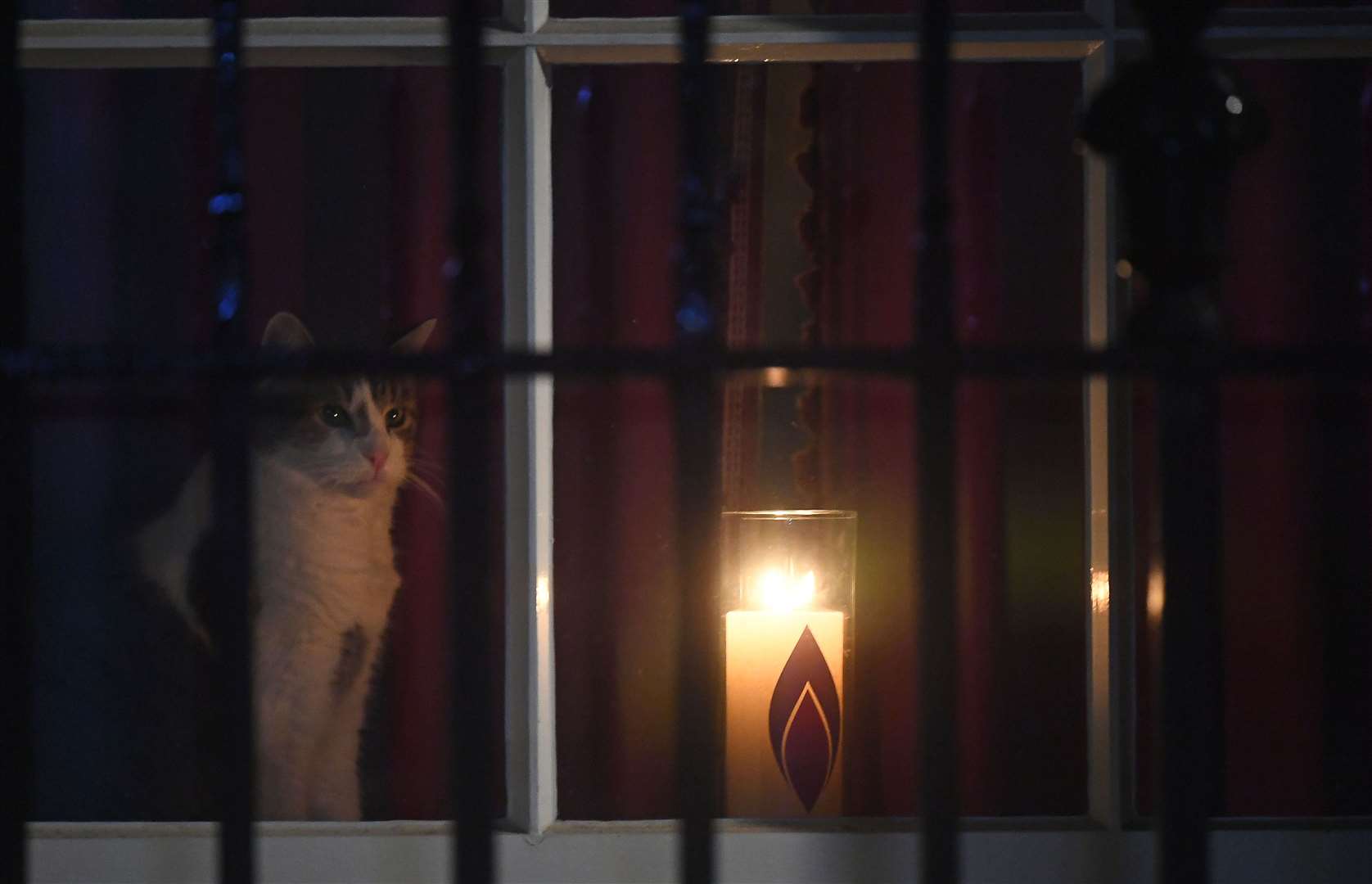 Larry the Cat sits next to a candle in a window at 10 Downing Street to mark Holocaust Memorial Day (Victoria Jones/PA)
