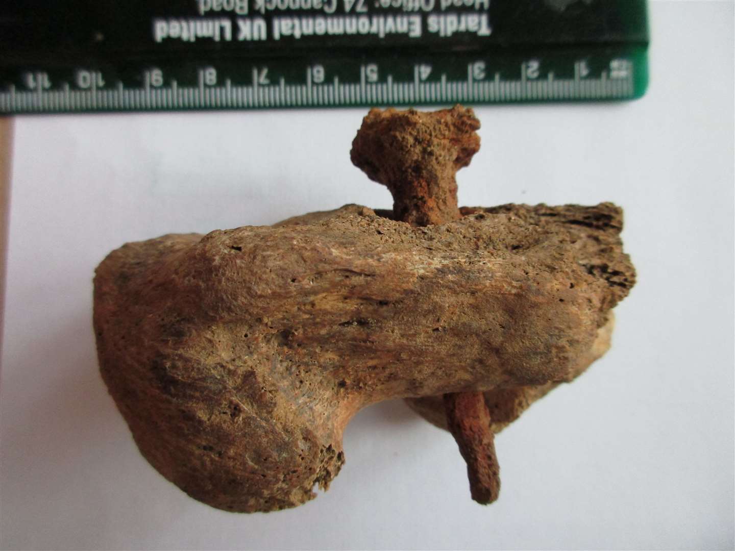 The nail in the heel of the skeleton of the crucified man (Albion Archaeology/PA)