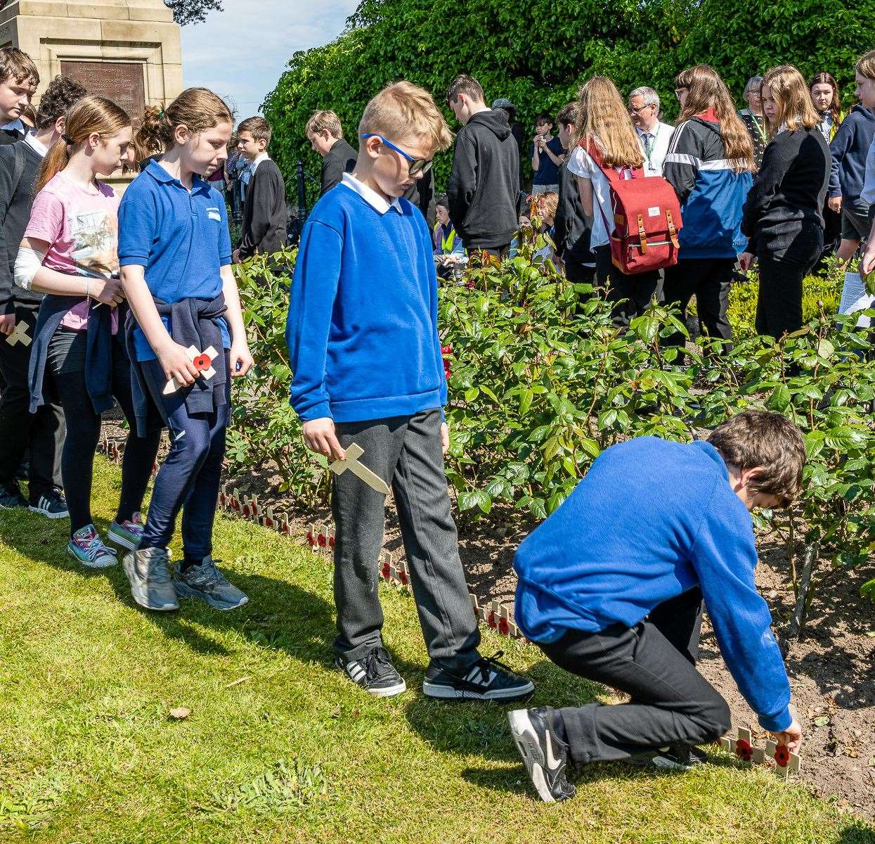 Pupils from Dornoch Primary School and Dornoch Academy planted crosses around the rose beds Picture: Andy Kirby