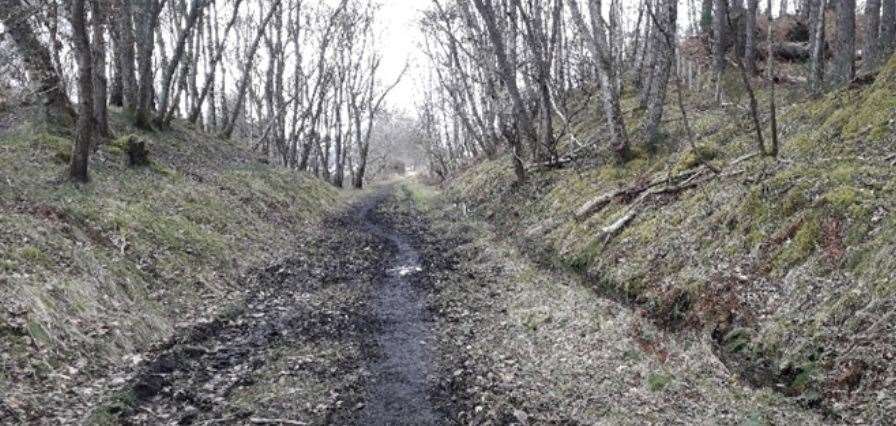 Before the path was cleared at Muir of Ord along the old railway line.