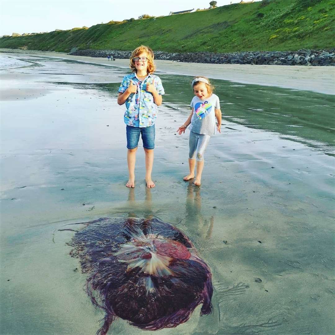 Brodie and Rhea Cameron with a monster-sized jellyfish at Scrabster. Picture: Laura Cameron